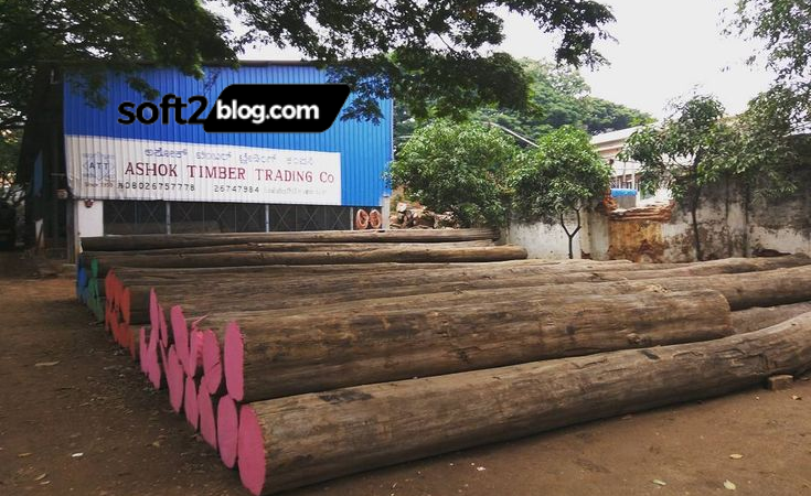 AshokTimber